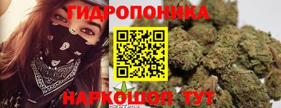 МДМА Брянск
