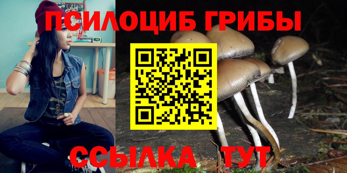 цена наркотик  Вход с VPN  Алексин  Галлюциногенные грибы MAGIC MUSHROOMS 